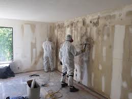 Best Real Estate Mold Inspection  in Bay Harbor Islands, FL